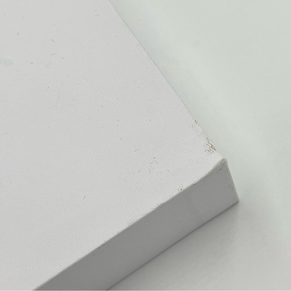 WT2 Plus Translator Apple IOS Android Earpiece Bluetooth Android IOS - Picture 15 of 16